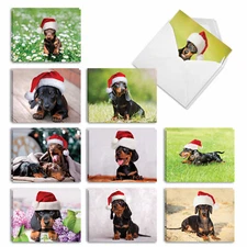 Darling Dachshunds 20 Christmas Cards (10 Designs, 2 Each) with Envelopes