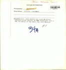 Picture 2 of 2