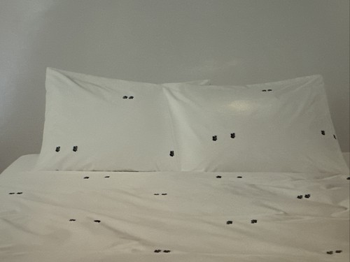 Calvin Klein Clone Euro SHAM 100% Combed Cotton Percale 26x26 Floral White - Picture 2 of 6