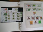 Bild 8 von 24