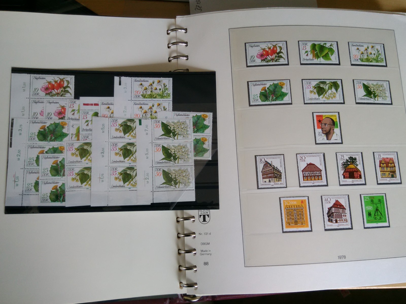Bild 8 von 24
