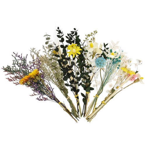 1 racimo de palitos de caña de ratán flor seca difusor de fragancia baño aroma decoración - Imagen 4 de 18