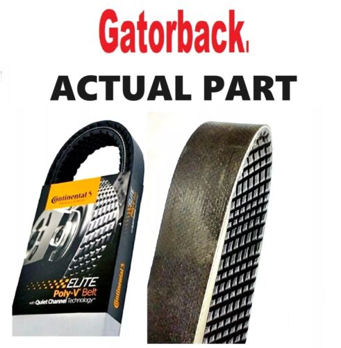 NEW Serpentine Poly-V Quiet Belt Gatorback CONTINENTAL ELITE 4070763 - Picture 3 of 3