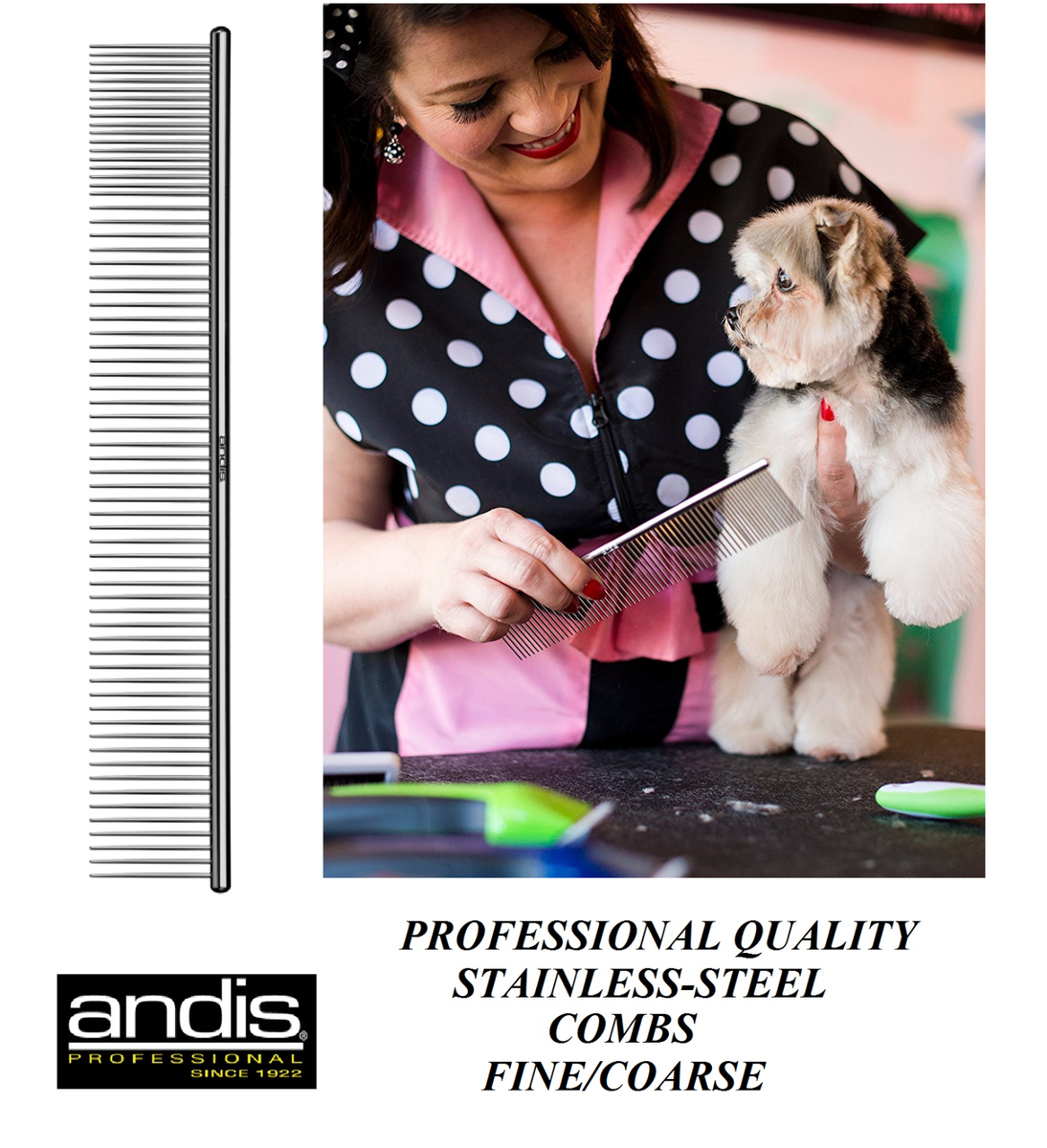 ANDIS STAINLESS STEEL 10