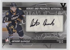 2013-14 ITG Heroes and Prospects Vault Black Anthony DeAngelo #A-AD Auto 2a2