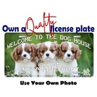 Welcome to the dog house custom personalized license plate Bike Key Luggage