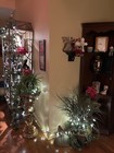 Picture 21 of 24