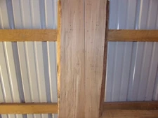 2 PC RUSTIC BEECH SLAB KILN DRIED LUMBER WOOD BOARDS 1  1/8" THICK LOT 1273VV