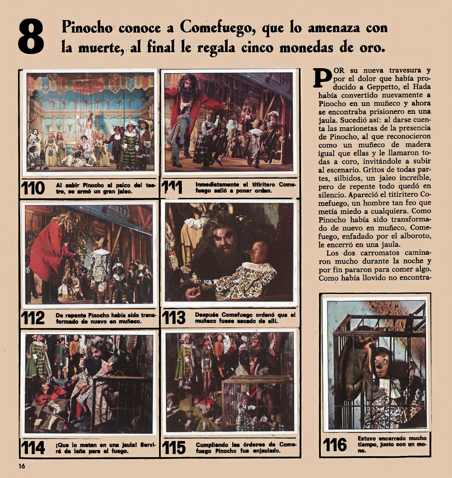 Imagen 10 de 13