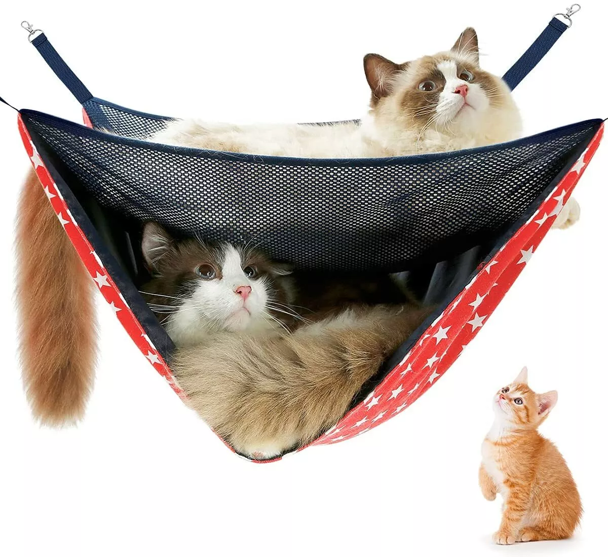 Cat hammock best sale for cage