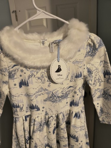 NWT JANIE AND JACK x Disney Frozen Scenic Faux Fur Collar Dress Size 10 - Picture 2 of 4
