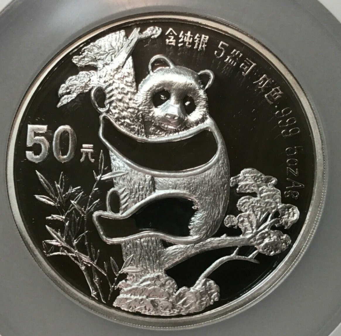 Picture 4 of 5