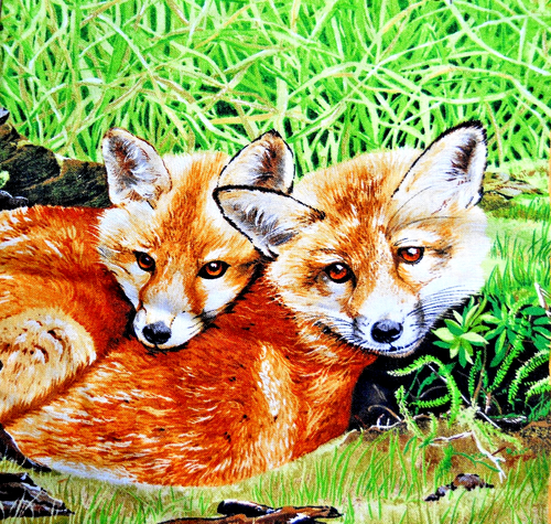 EXCLUSIVE QUILTERS "RED FOX FAMILY " PANEL SOLD BY THE PANEL - Picture 5 of 5