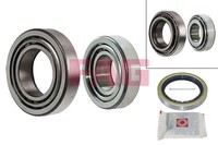 FAG 713 6153 10 Wheel Bearing Kit For Ford Ford Australia Mazda