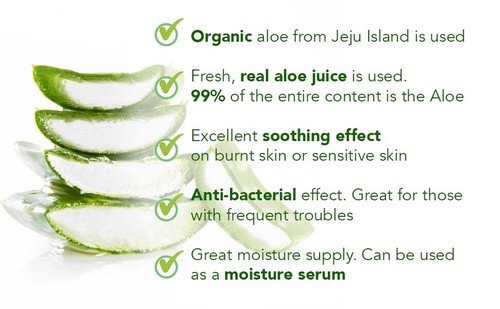 Organic Aloe Vera Gel Soothing, Restoring, Sunburn Care and Anti-inflammatory….. - Picture 5 of 5