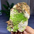 Foto 7 di 23