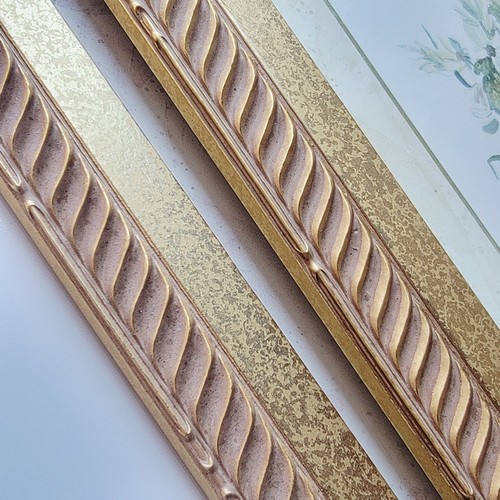 23x11 Carol Robinson Botanical Floral Prints – Gold Rope Frames – Serene Pastel - Picture 7 of 12