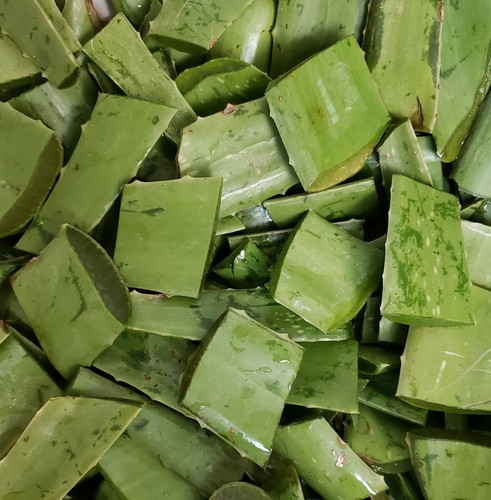 Natürliches Teebaum Körper Zucker Peeling mit Bio-Aloe Vera Peeling, Peeling 6 Oz - Bild 7 von 9