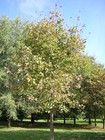 Foto 5 di 7