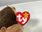 Bild 7 von 7