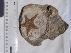 Bild 8 von 12