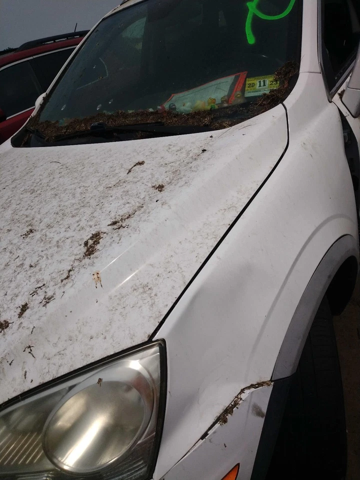 Capó usado se adapta a: Chevrolet Captiva Sport 2012 grado A Foto 3 de 4