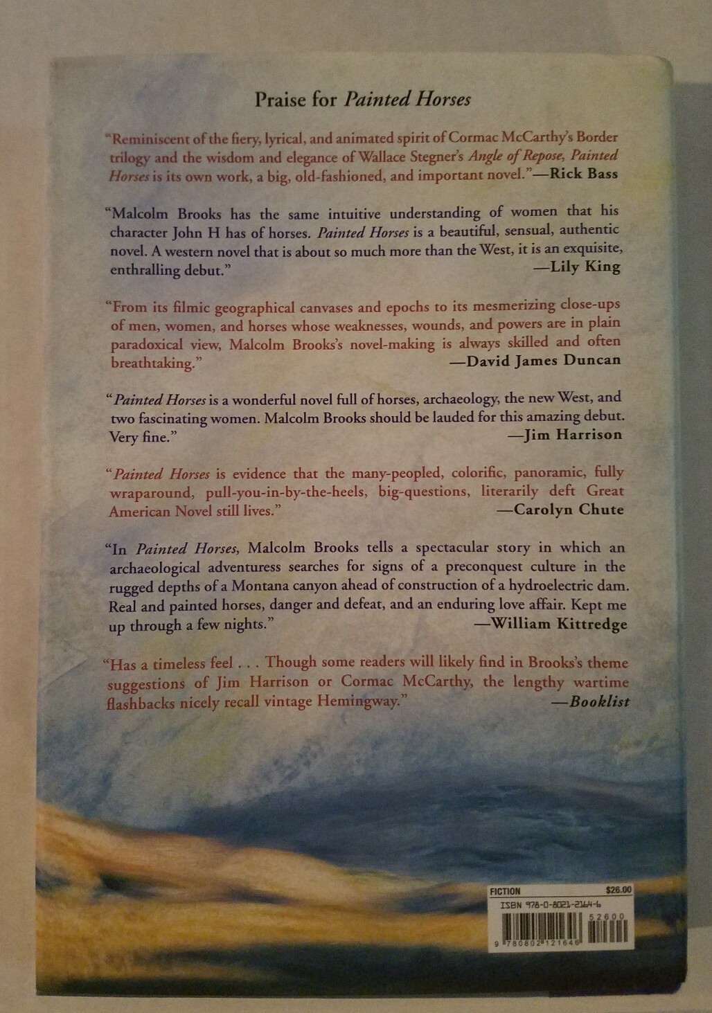 Painted Horses by Malcolm Brooks (2014, Hardcover) for sale online eBay