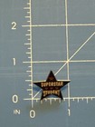 Superstar Student Lapel Pin Recognition Award 5-Point Star — photo 2