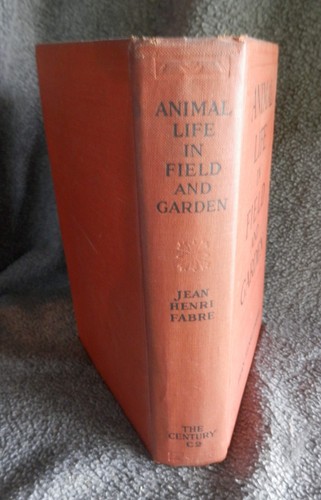 TIERLEBEN IN FELD UND GARTEN von Jean Henri Fabre 1921 HC sehr guter Zustand