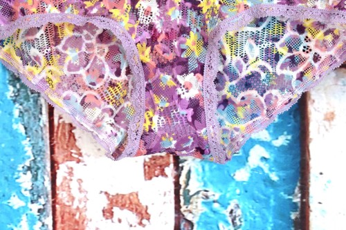 Women's NOBO No Boundaries Lace Hipster Panties Underwear XS, XXL Multicolor NEW - Picture 4 of 7