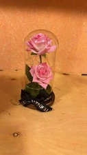 Preserved Rose Gifts for Women Forever Real Rose in Glass Dome Romantice Rose...