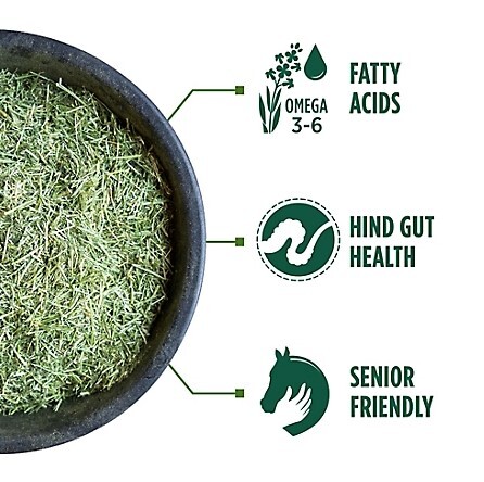 Alimento de alfalfa picada Standlee 1100-70101-0-0 Premium Western Forrage 40 libras - Imagen 3 de 3