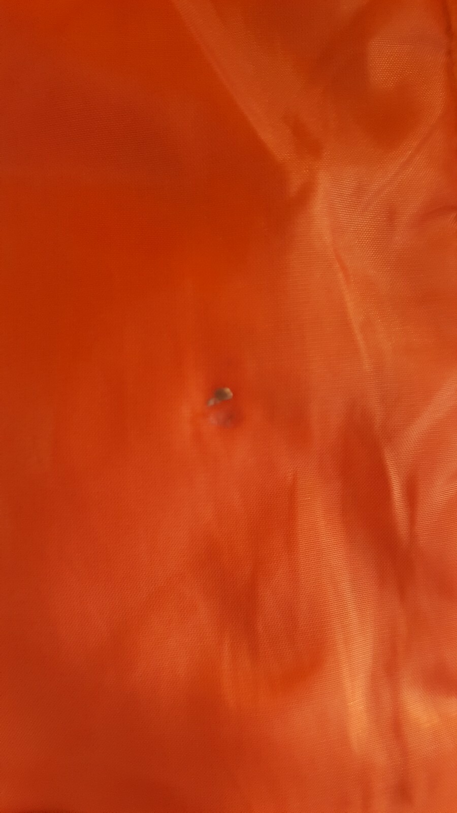Picture 6 of 12