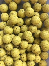 MISTRAL BAITS 15mm SCOPEX BOILIES - 100g PACK CARP BAIT