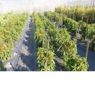 Bild 7 von 9