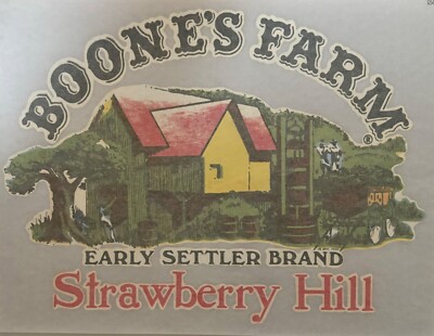 Original Vintage 1970 s Boone s Farm Strawberry Hill Iron On Transfer