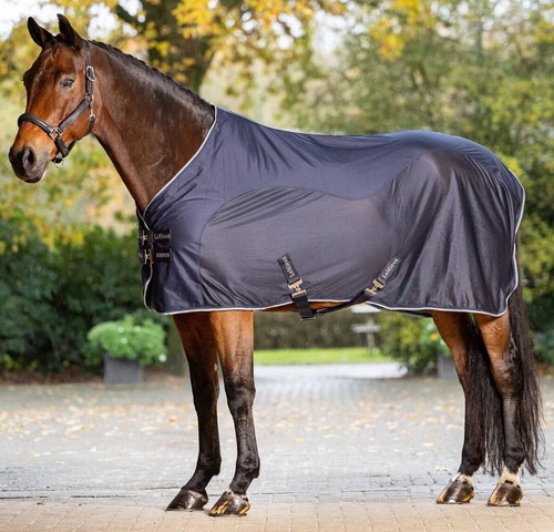 LeMieux Kudos Hybrid Cooler Wicking Muscle Post Exercise Rug Black/Blue 5'6-7'0 - Picture 6 of 8