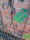 Picture 4 of 5