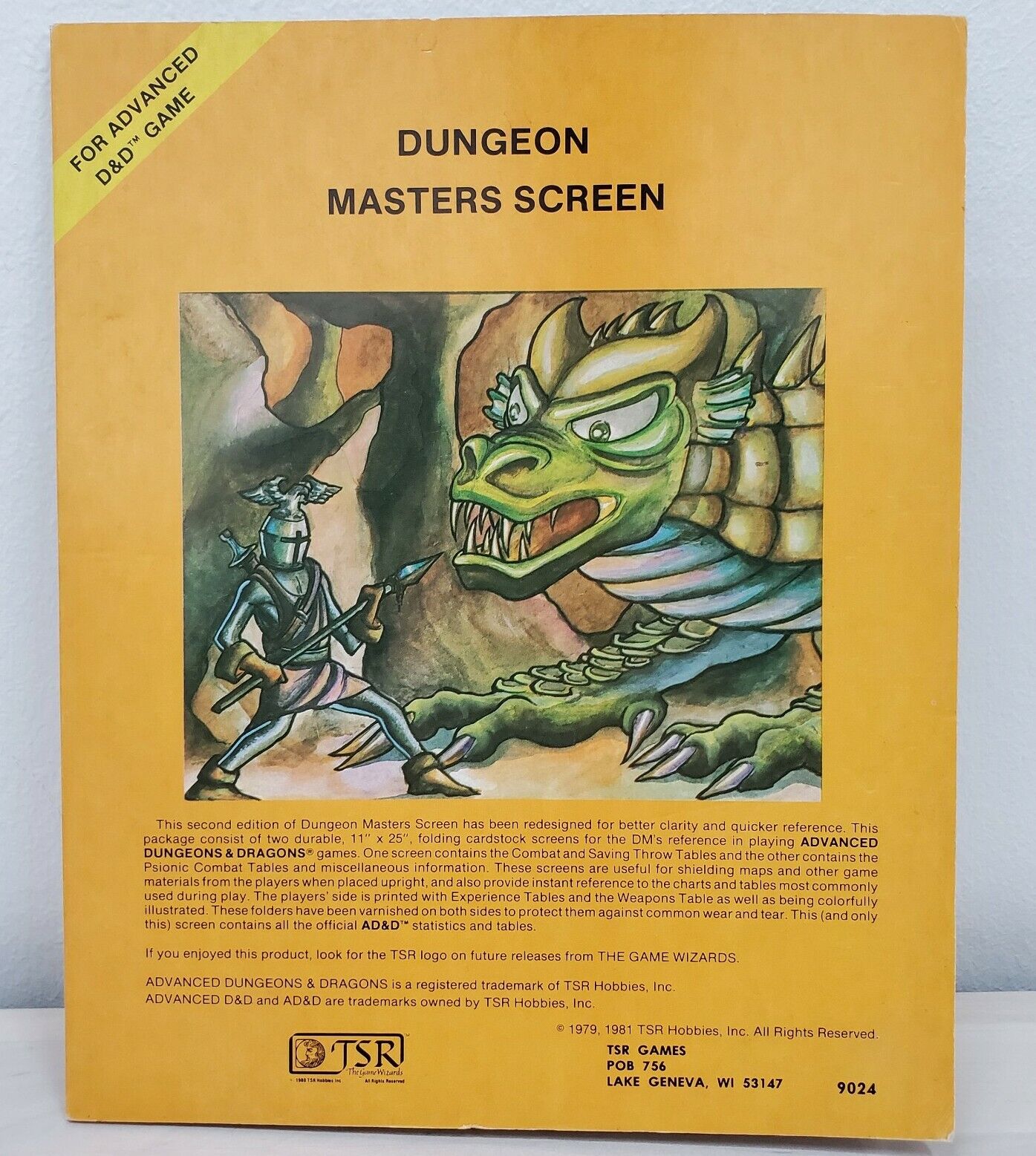 Dungeon Mastering 101: Mastering the Boxed Text – Dungeon Master's