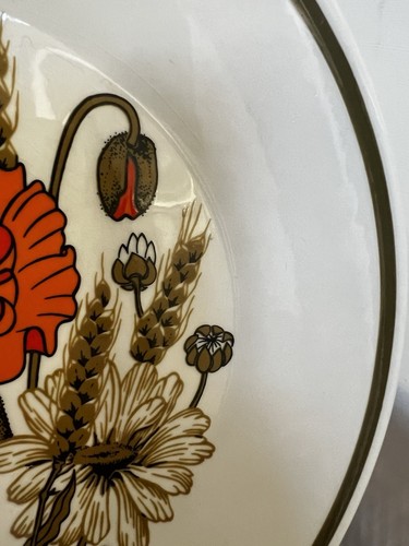 Vintage J & G Meakin Studio Poppy Pattern Small Dinner Plate 9l”Retro Floral VGC - Picture 8 of 14