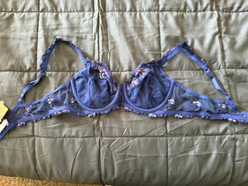 Lise Charmel Violet Ivory and Blue bra 36B  NWT