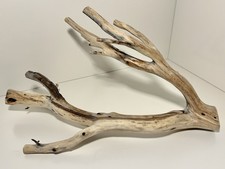 Manzanita Driftwood, Reptile Tank Decor, Aquascape, Terrarium, Aquarium Wood