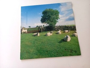 擦り傷あり KLF CHILL OUT レコード 黒vinyl オマケ付き Klf