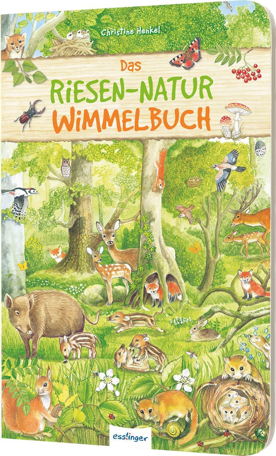 Thumbnail - Christine Henkel Das Riesen-natur-wimmelbuch 9783480234066