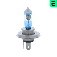 10X ERA E114BR-1C GlüHlampe, Fernscheinwerfer FüR Renault Renault Trucks Rover