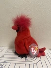 Ty Beanie Babies "Mac"  The Cardinal 1998 Vintage MINT w/tags