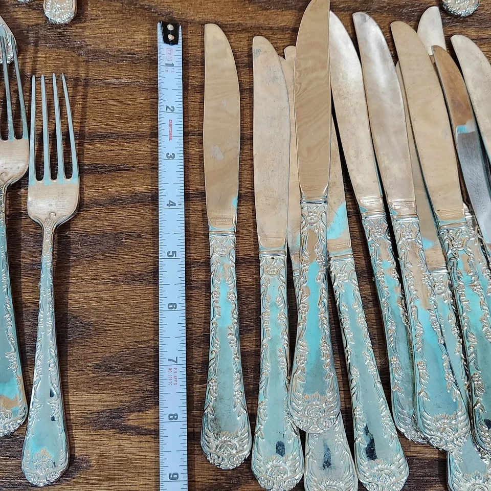 Juego de cubiertos plateados WM Rogers & Son rosa encantada 54 piezas lote vintage Corea Foto 3 de 4