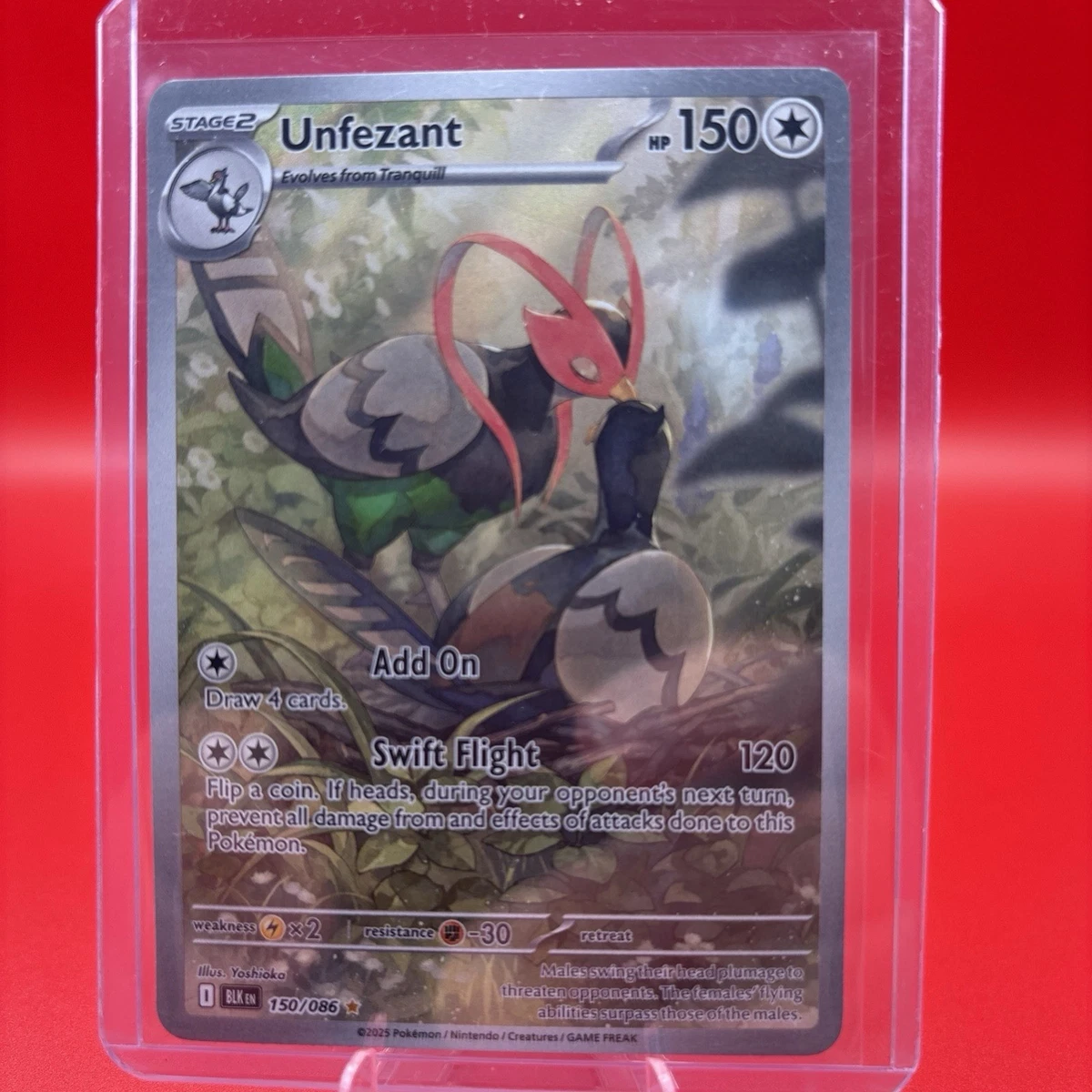 pokemon unfezant card Unfezant Pokémon TCG Cards for sale