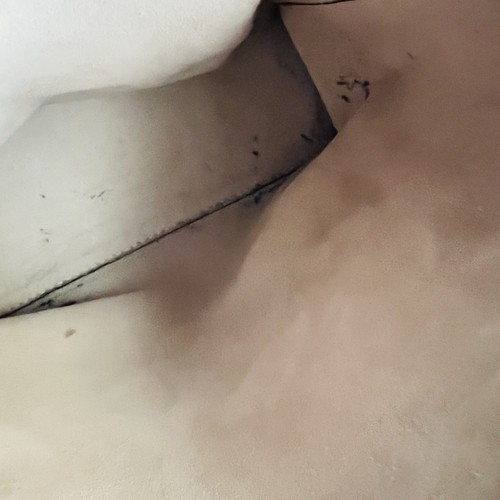 Borsa a secchiello Kate Spade nera Marti tracolla in pelle ciottolata LEGGI - Foto 3 di 24