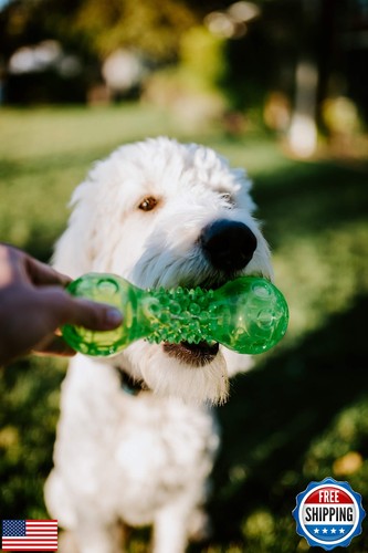 Hyper Pet Dura-Squeaks Barbell Interactive Fetch Dog Toy with Squeaker Made w - Picture 2 of 4
